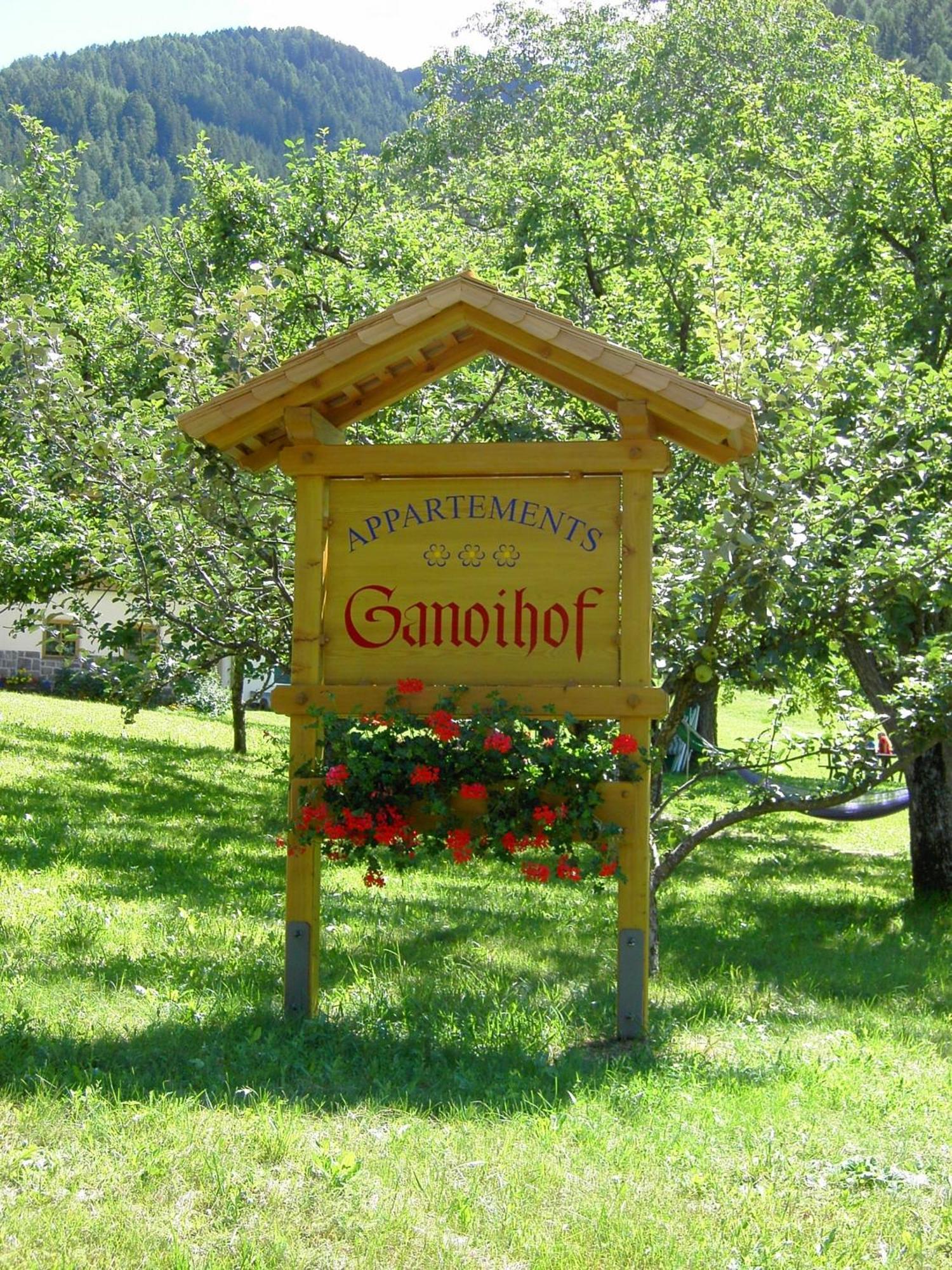 Ganoihof Apartments Funes  Esterno foto